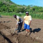 Polsek Gerung Pantau Ketahanan Pangan di Dusun Gumesa Utara Lobar