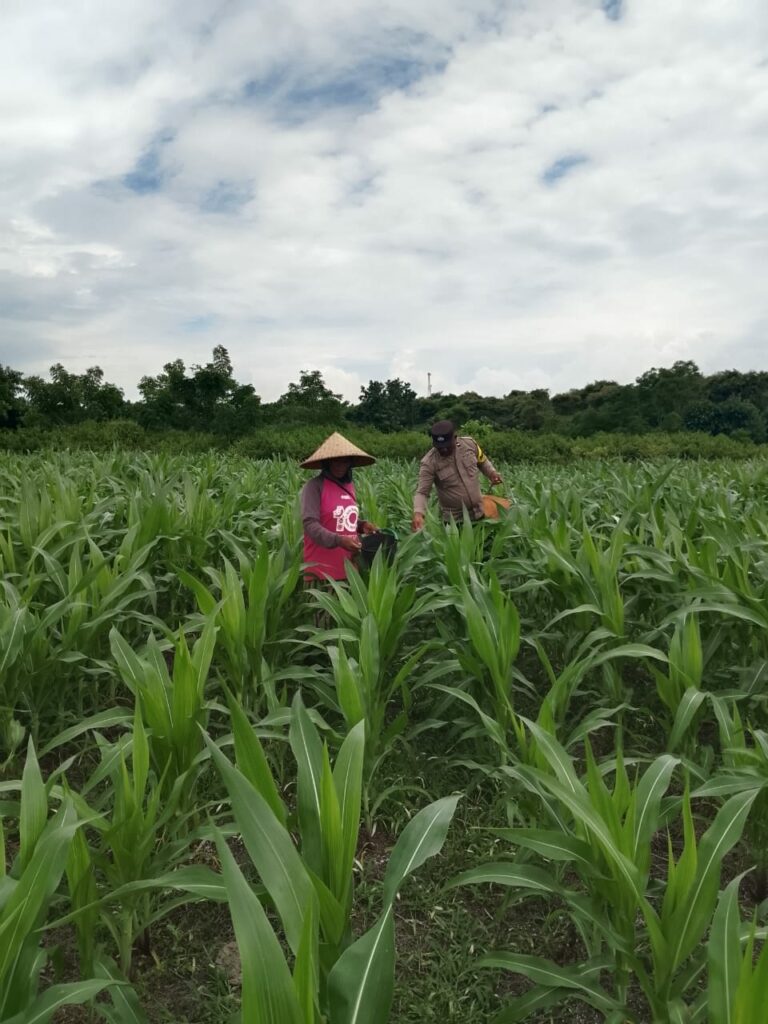 WhatsApp Image 2026-01-10 at 13.28.17