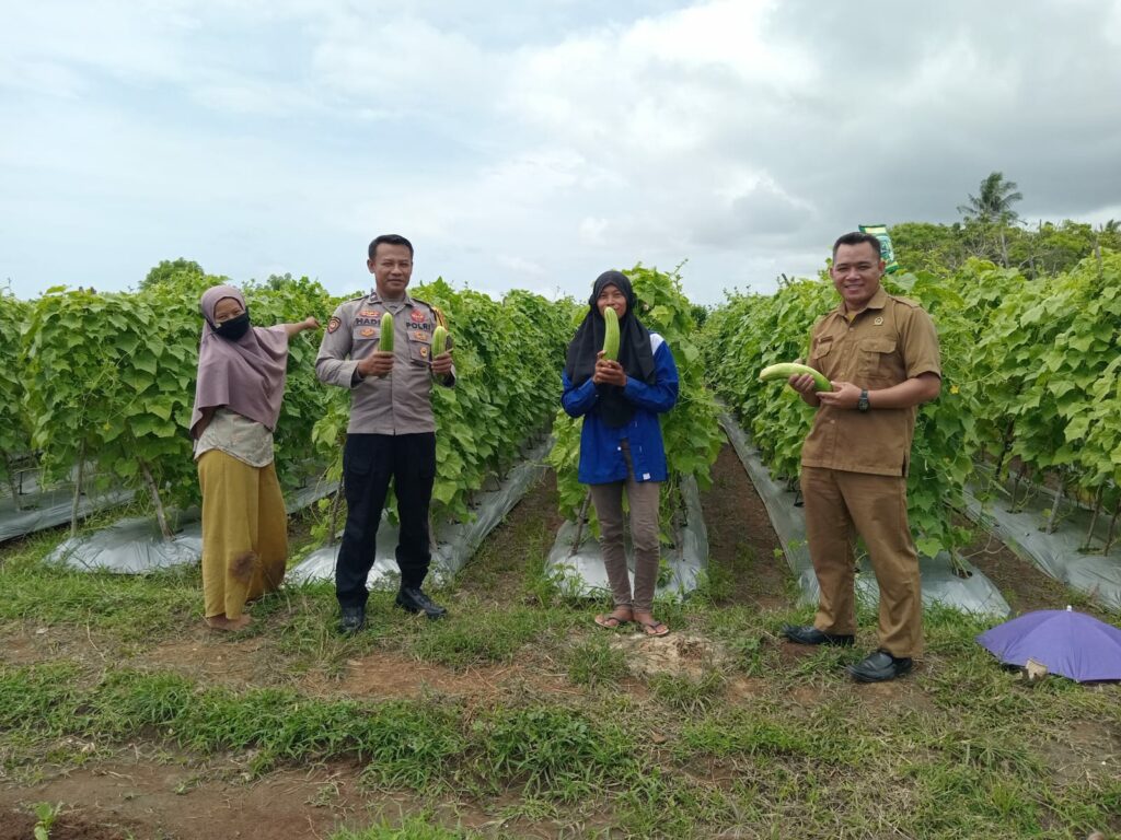 WhatsApp Image 2026-01-11 at 09.08.04