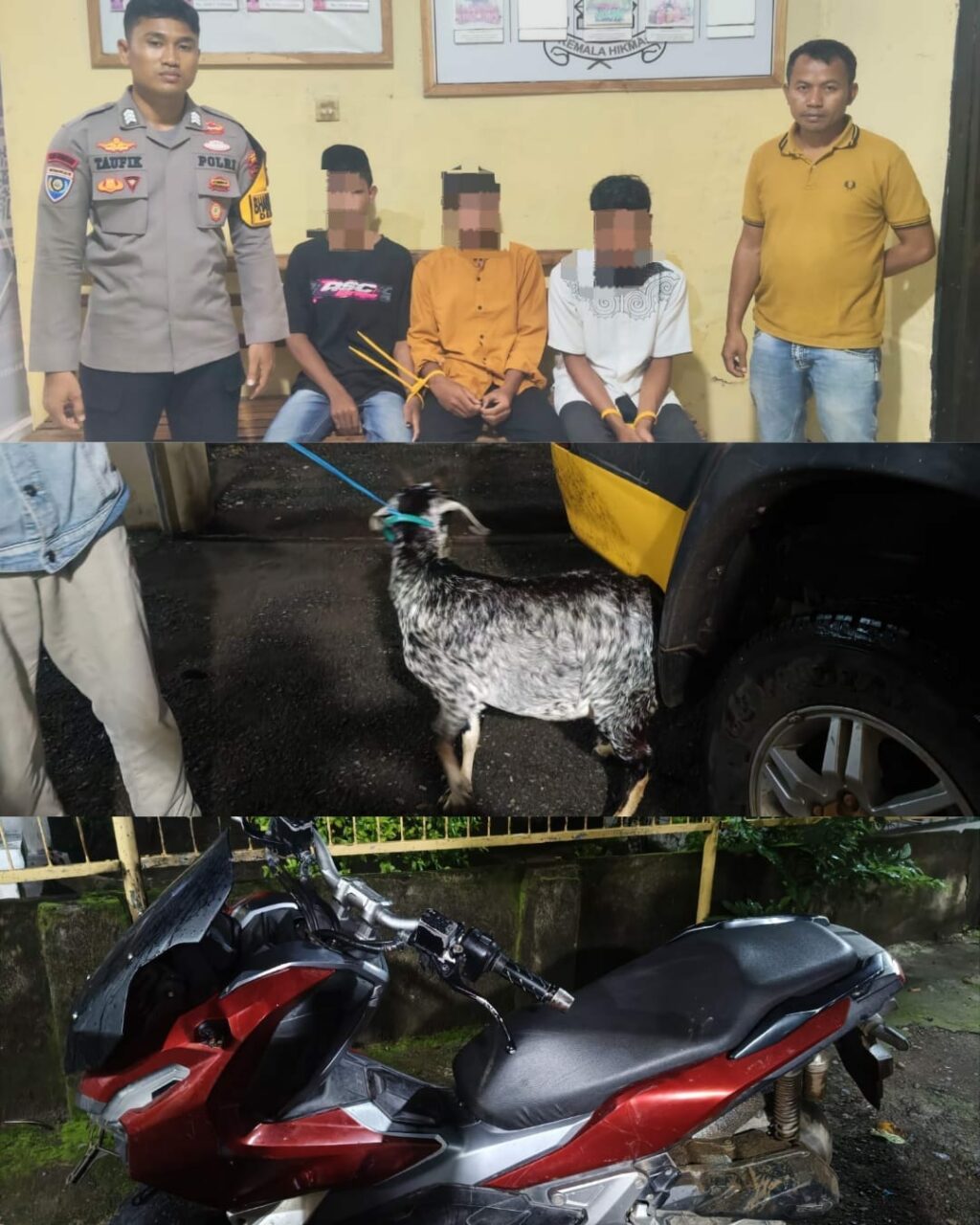 WhatsApp Image 2026-01-12 at 18.16.29