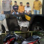 WhatsApp Image 2026-01-12 at 18.16.29