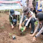 WhatsApp Image 2026-01-13 at 09.45.49