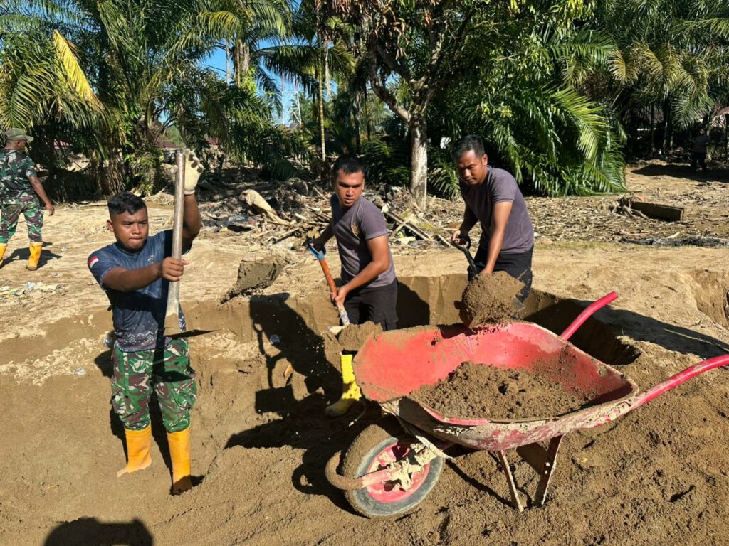 WhatsApp Image 2026-01-13 at 20.12.44