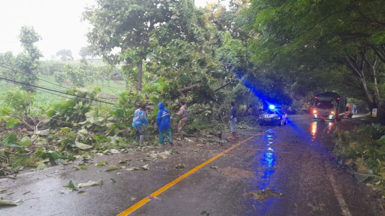 WhatsApp Image 2026-01-15 at 09.33.59 (1)