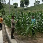 WhatsApp Image 2026-01-15 at 10.43.04