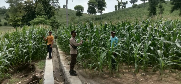 WhatsApp Image 2026-01-15 at 10.43.04