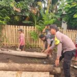 WhatsApp Image 2026-01-16 at 08.54.47