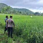 WhatsApp Image 2026-01-16 at 10.05.04 (1)