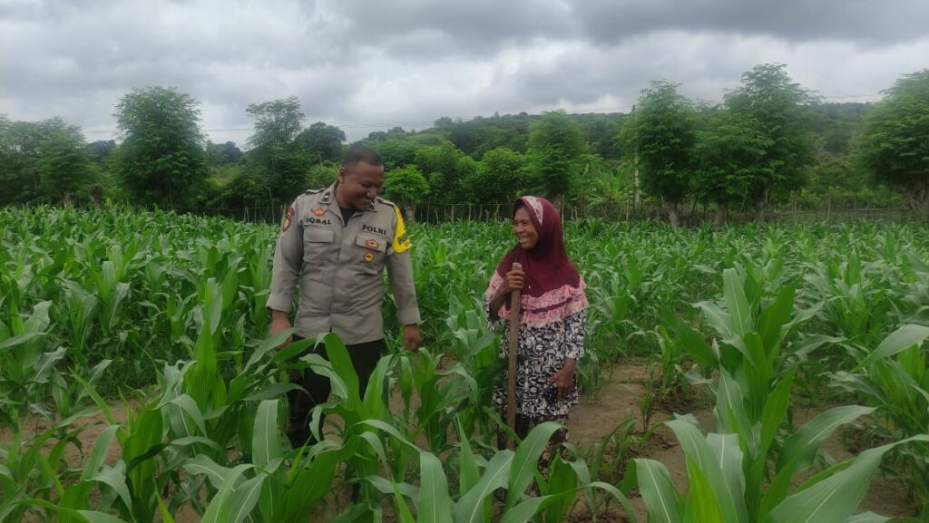 WhatsApp Image 2026-01-16 at 23.18.04