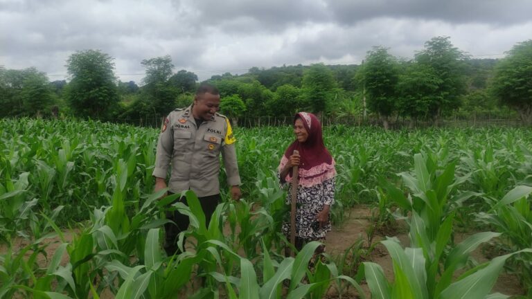 WhatsApp Image 2026-01-16 at 23.18.04