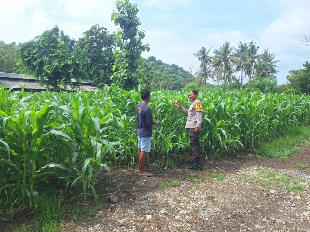 WhatsApp Image 2026-01-17 at 11.25.39