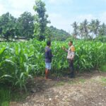 WhatsApp Image 2026-01-17 at 11.25.39