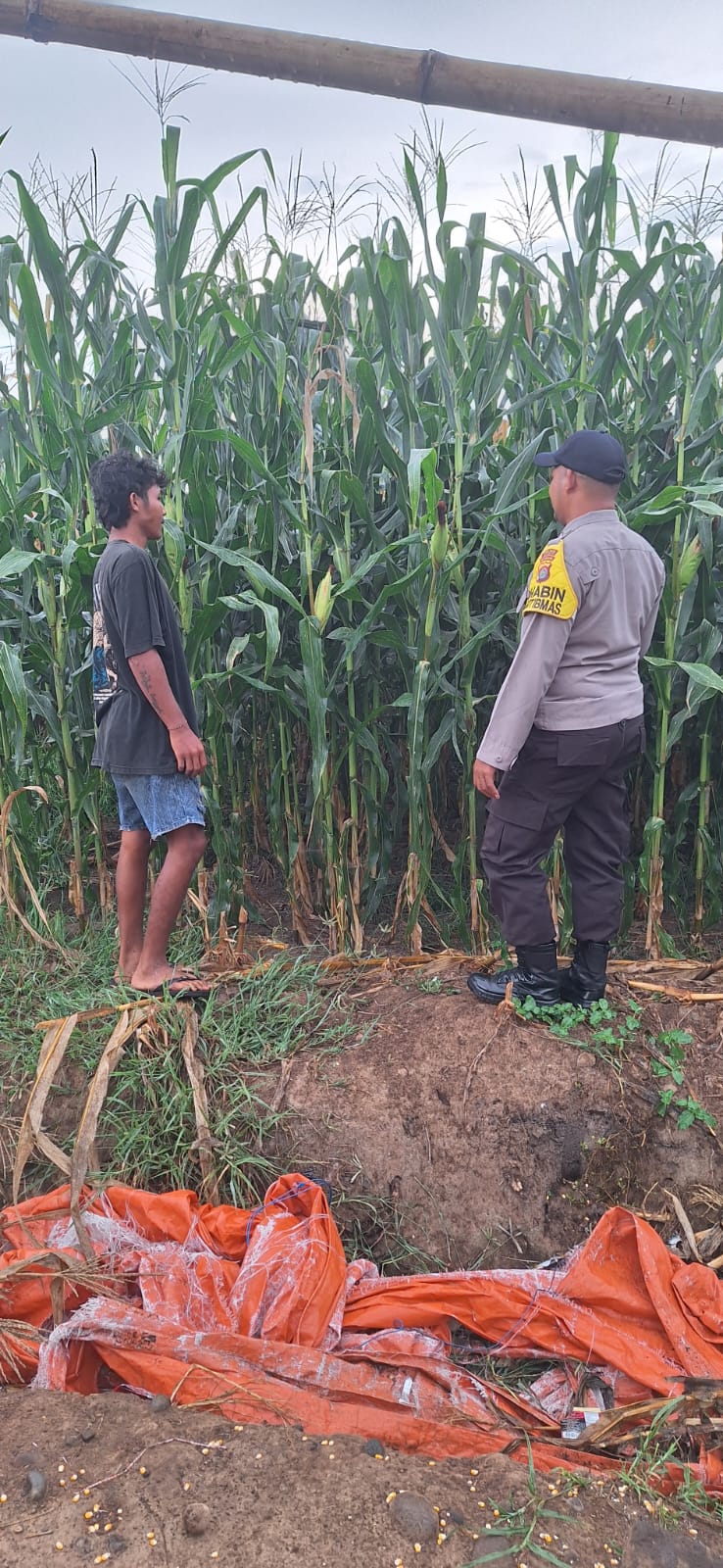 WhatsApp Image 2026-01-19 at 09.31.13