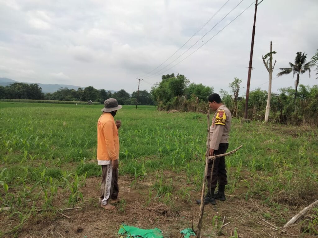 WhatsApp Image 2026-01-19 at 13.08.52