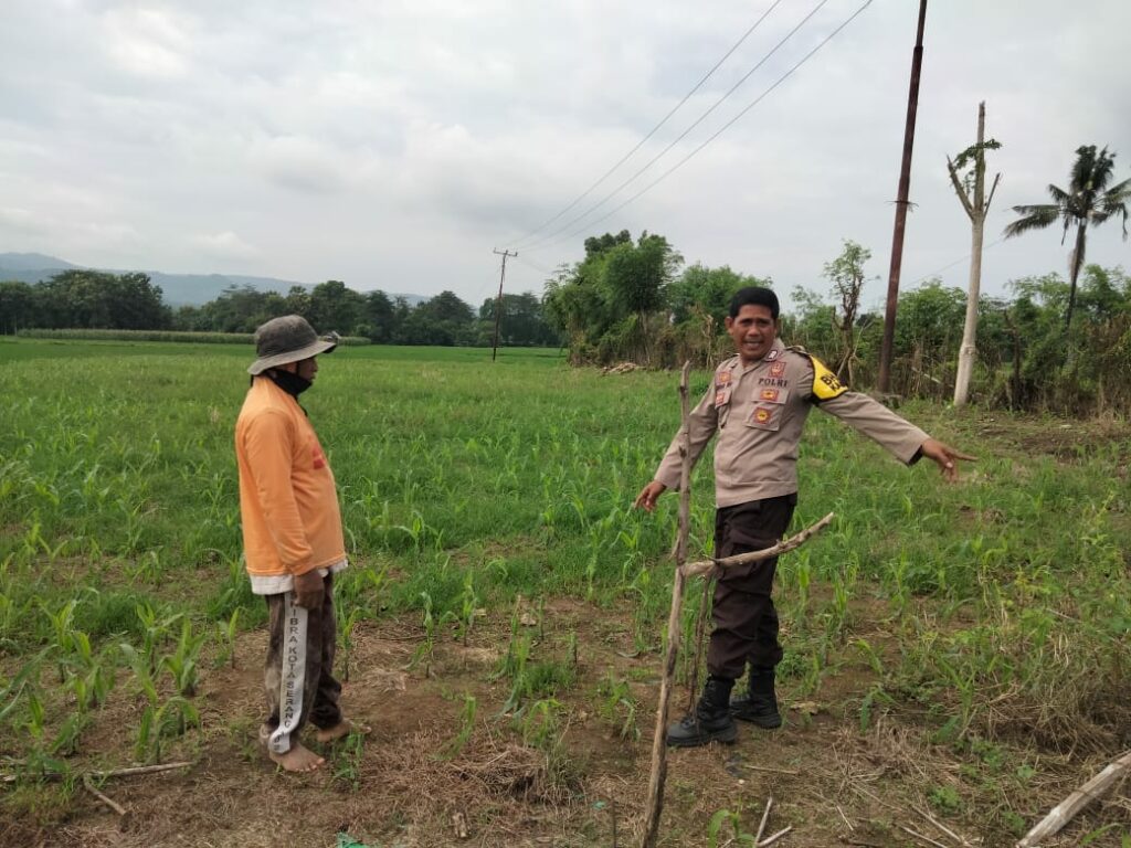 WhatsApp Image 2026-01-19 at 13.08.52