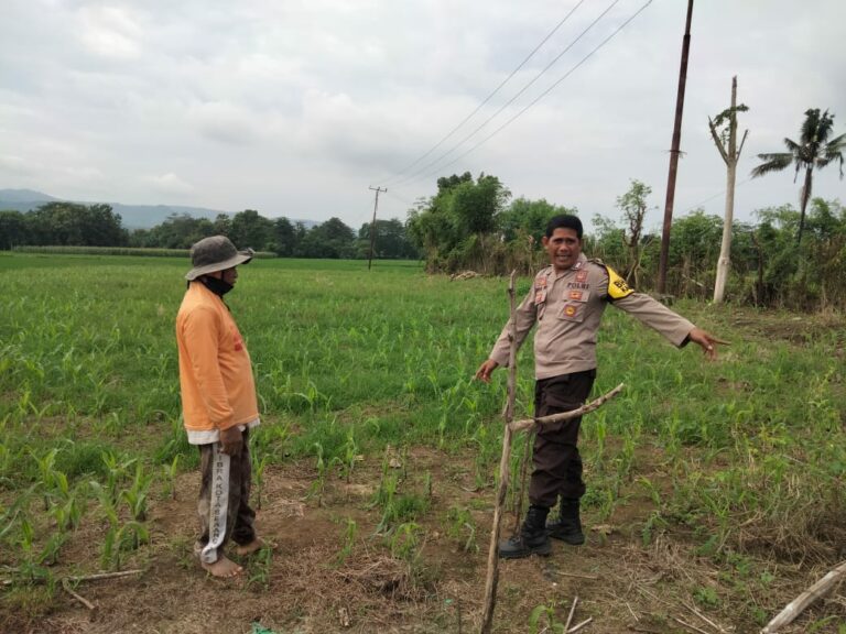 WhatsApp Image 2026-01-19 at 13.08.52