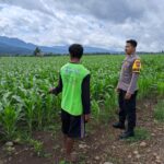 WhatsApp Image 2026-01-20 at 12.06.18 (1)