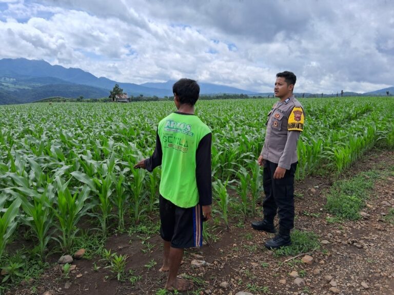 WhatsApp Image 2026-01-20 at 12.06.18 (1)