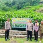 WhatsApp Image 2026-01-20 at 19.20.30