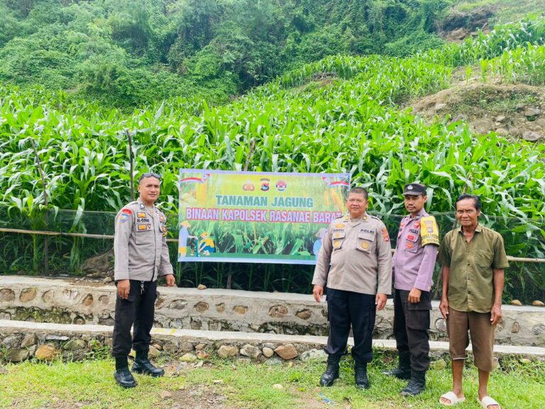 WhatsApp Image 2026-01-20 at 19.20.30