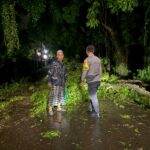 WhatsApp Image 2026-01-21 at 08.52.00