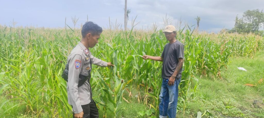 WhatsApp Image 2026-01-21 at 13.05.07