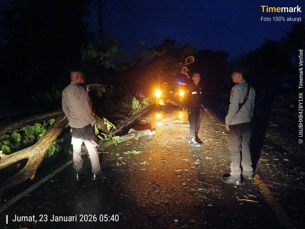 WhatsApp Image 2026-01-23 at 06.48.56