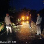 WhatsApp Image 2026-01-23 at 06.48.56