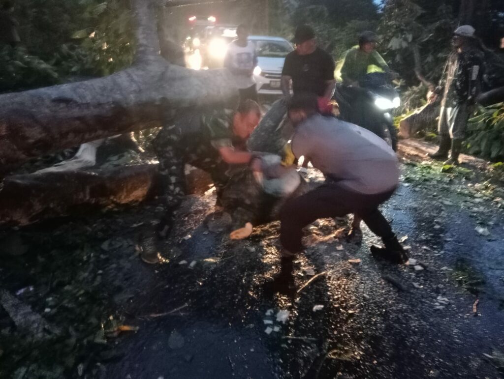 WhatsApp Image 2026-01-23 at 10.34.18