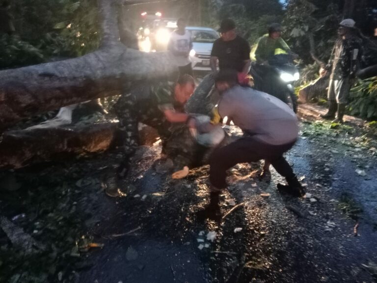 WhatsApp Image 2026-01-23 at 10.34.18