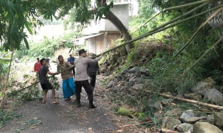 WhatsApp Image 2026-01-24 at 07.09.50