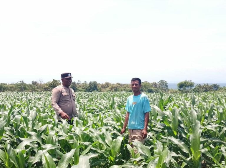 WhatsApp Image 2026-01-24 at 22.51.49