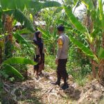 WhatsApp Image 2026-01-26 at 12.01.53