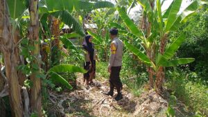 WhatsApp Image 2026-01-26 at 12.01.53