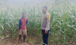 WhatsApp Image 2026-01-26 at 22.32.40