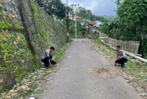 WhatsApp Image 2026-01-27 at 07.11.31