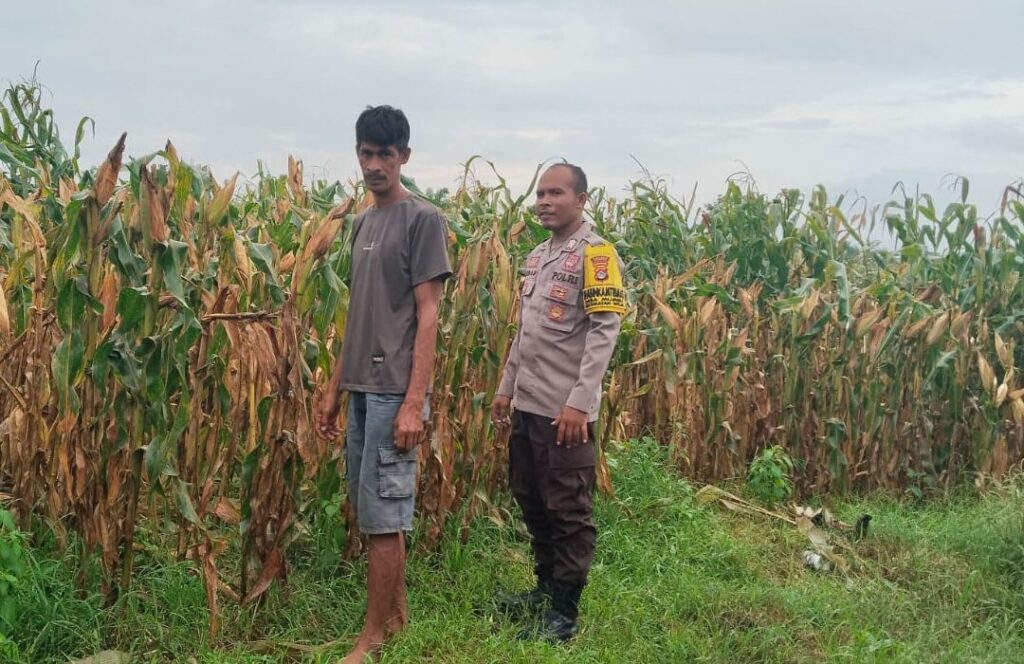 WhatsApp Image 2026-01-28 at 04.55.13