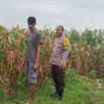 WhatsApp Image 2026-01-28 at 04.55.13