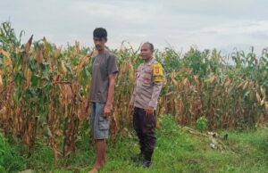 WhatsApp Image 2026-01-28 at 04.55.13