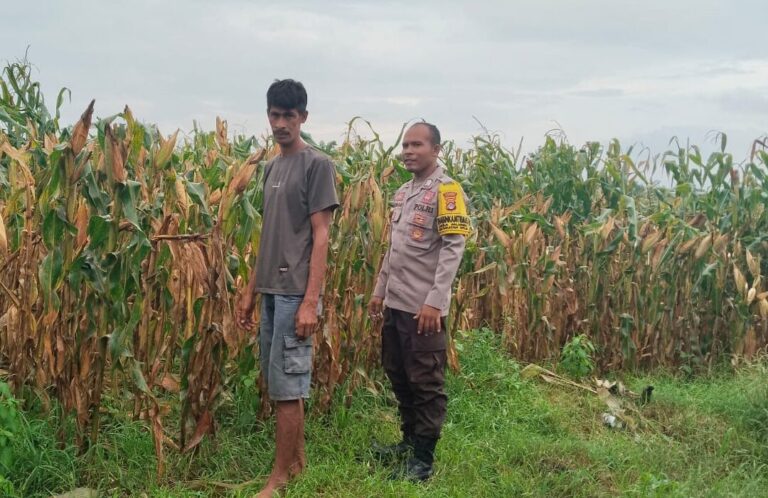 WhatsApp Image 2026-01-28 at 04.55.13