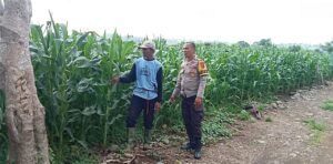 WhatsApp Image 2026-01-28 at 10.06.58 (2)