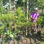 Sinergi Polri dan Warga Sidemen Lauq Budidaya Hortikultura