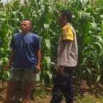 Dukung Swasembada Pangan, Polisi Dampingi Petani di Lombok Barat