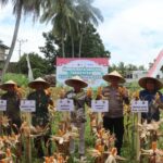 f589606c-df57-4845-88f0-1f41c25d242e